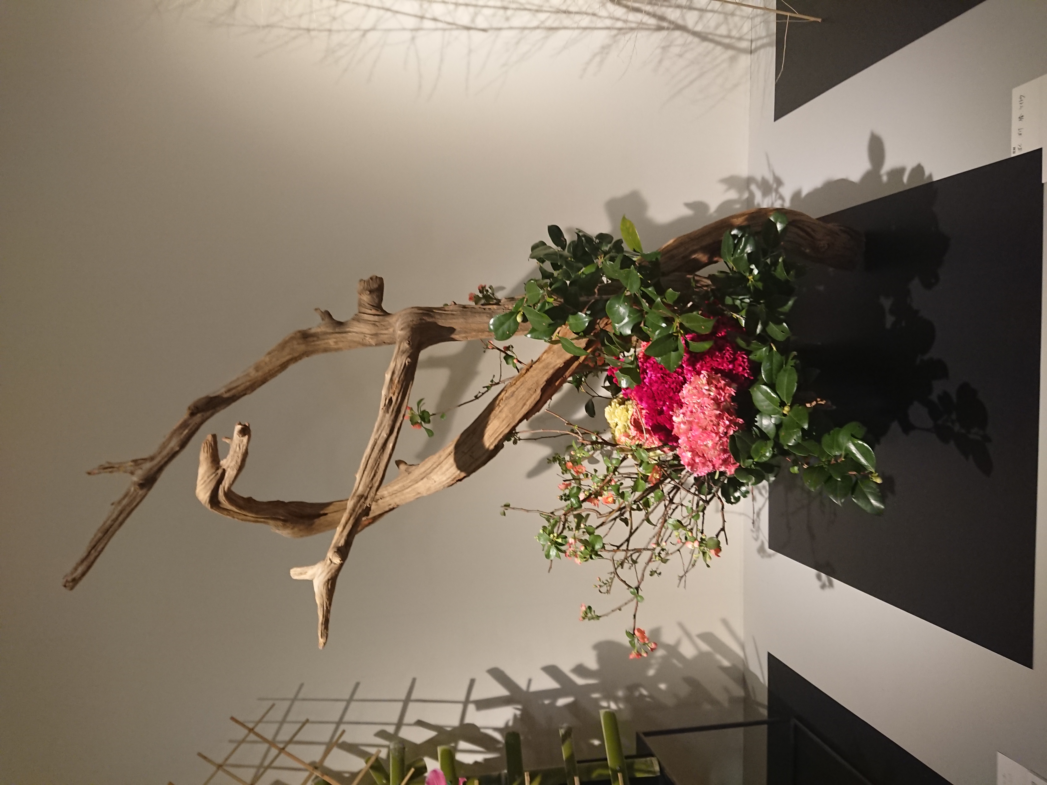 第106回 草月いけばな展