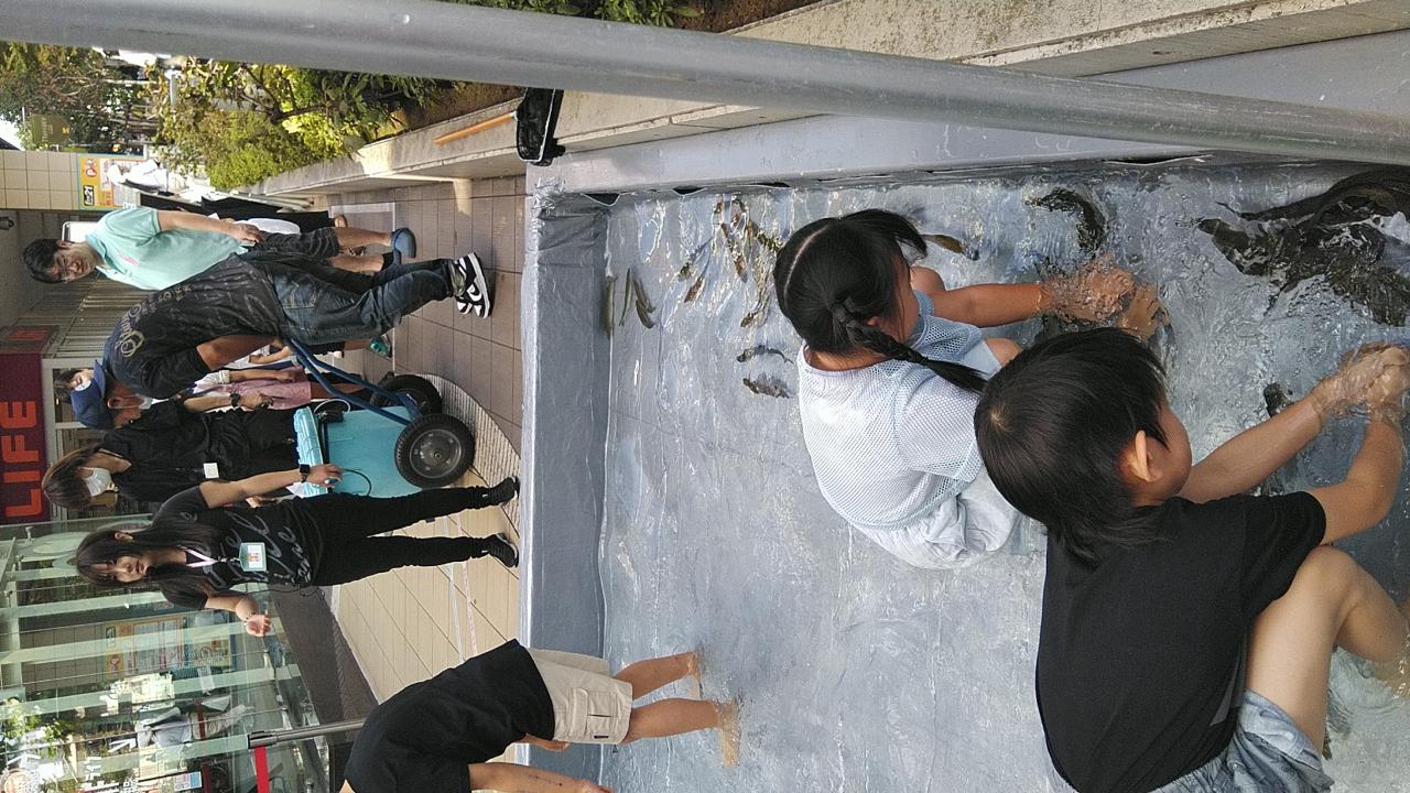 ニジマスつかみ取り